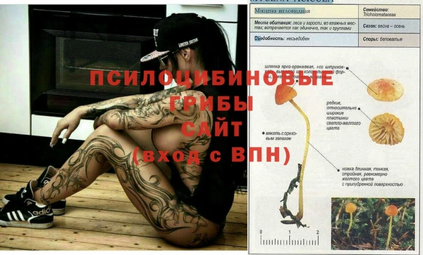 соль ск Богородицк