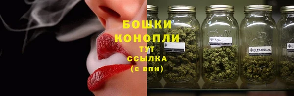 соль ск Богородицк