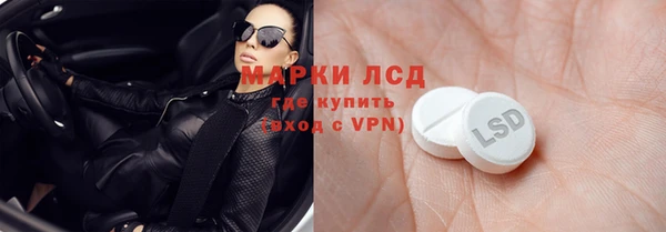 прущий лед Богданович