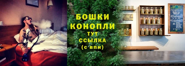 прущий лед Богданович