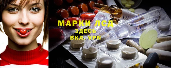 прущий лед Богданович