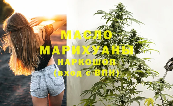 прущий лед Богданович
