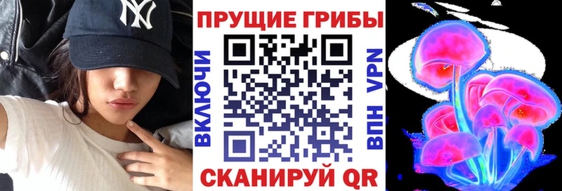 hydra ТОР  Пенза  Псилоцибиновые грибы ЛСД 